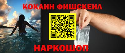гидра Рязань