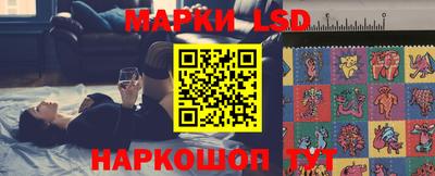гидра Рязань