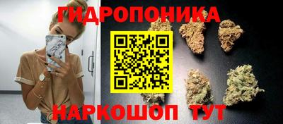 гидра Рязань